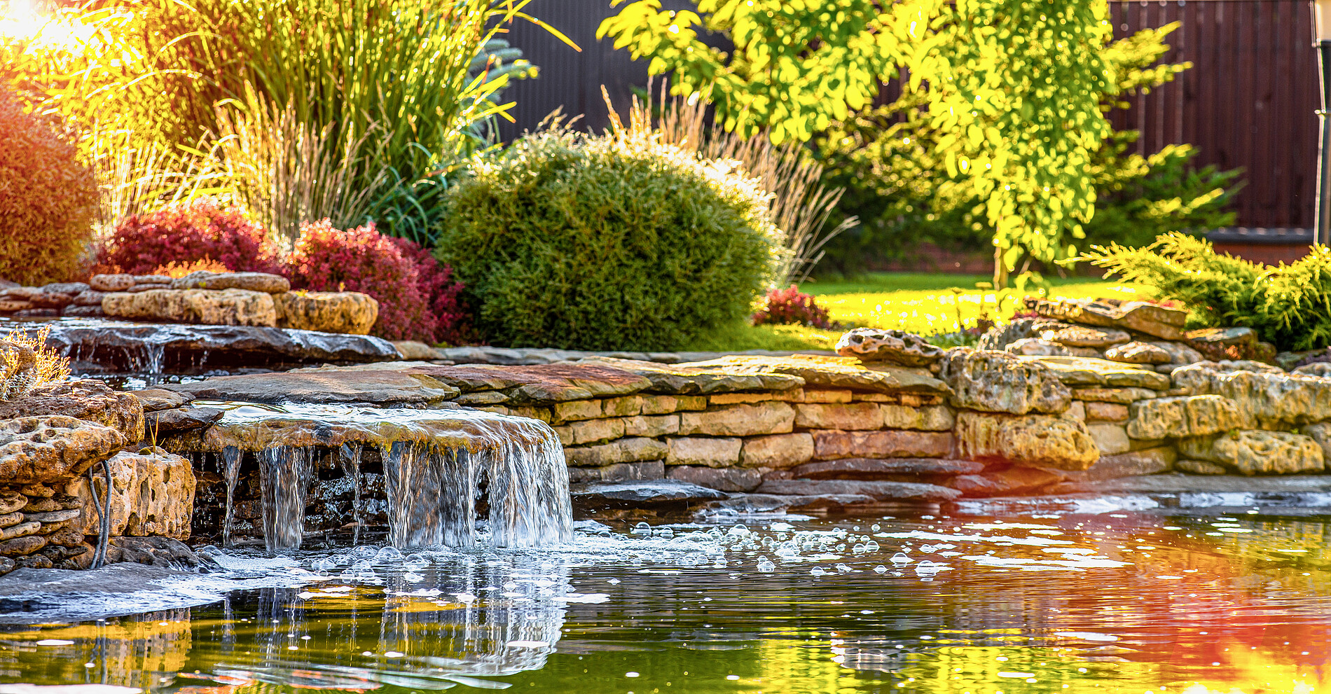 Beautiful,Landscaping,With,Beautiful,Plants,And,Flowers